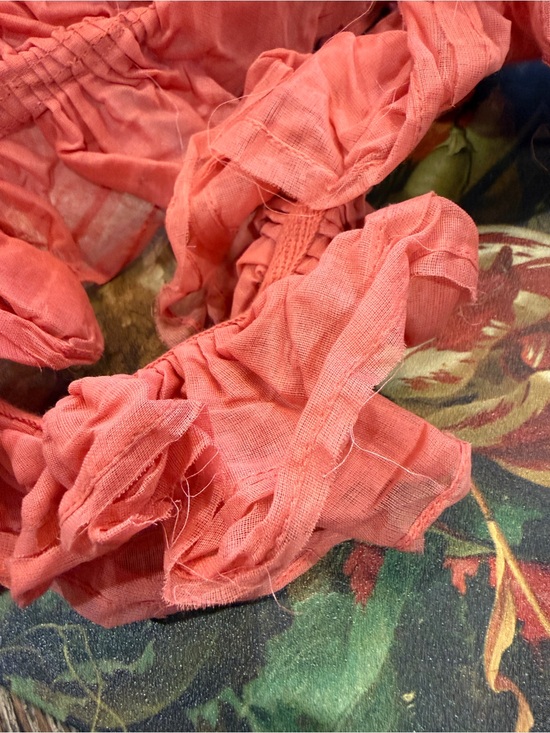 Ewa | Walla Women’s Ruffled Tie Belt Neck Adornment Coral Pink One Size NWOT main image 6